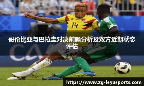 乐鱼体育公司